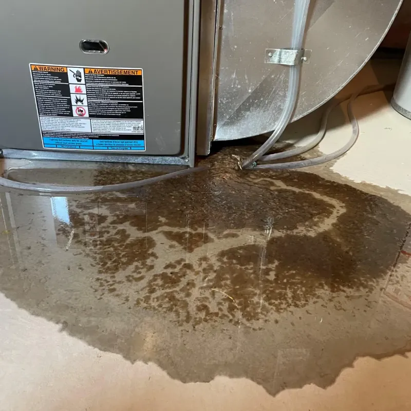 Appliance Leak Cleanup in Vance, AL